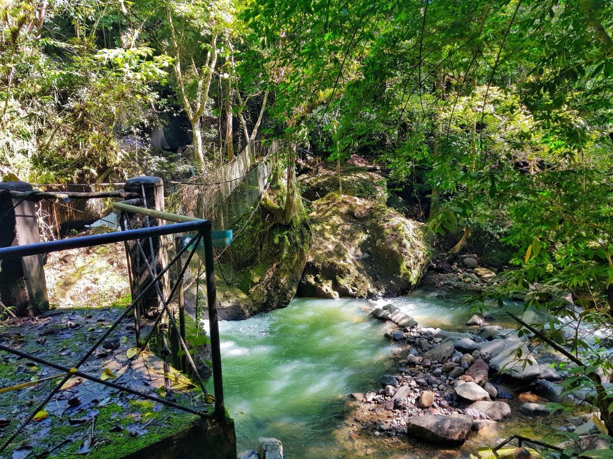 Tower Studio In The Treetops In Altos Del Maria Panama El Picacho Kültér fotó
